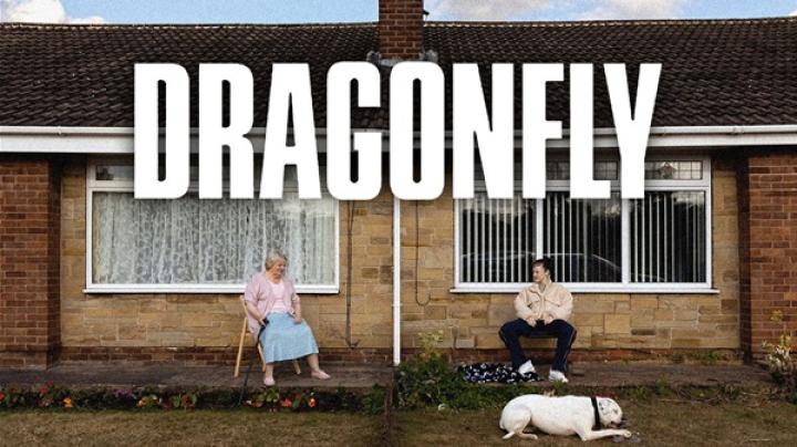 مشاهدة فيلم Dragonfly 2025 مترجم ماي سيما
